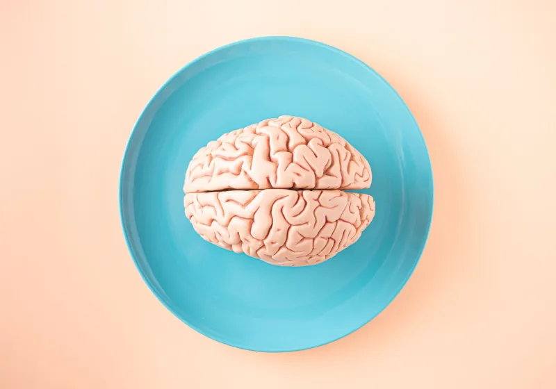 What Science Actually Says About Ivermectin and the Blood-Brain Barrier